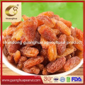 Sales Promotion New Crop Colorful Raisins